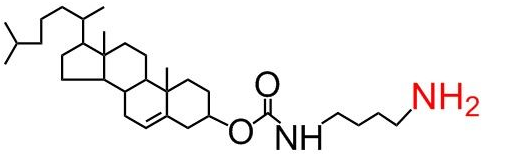 CLS-NH2 、膽固醇-氨基、 Cholesterol-NH2