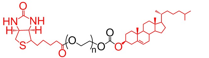 膽固醇-聚乙二醇-生物素、膽固醇PEG生物素、Cholesterol-PEG-Biotin