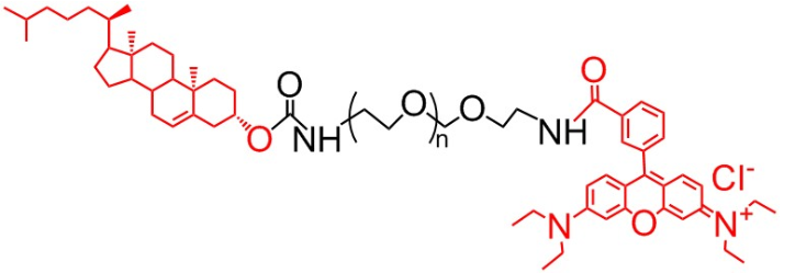 Rhodamine-PEG-CLS、RB-PEG-CLS、膽固醇-聚乙二醇-羅丹明