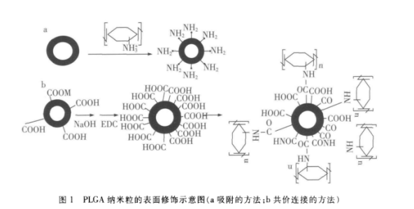 PLGA納米粒負載蛋白