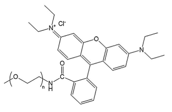 mPEG-Rhodamine，mPEG-RB，甲氧基-聚乙二醇-羅丹明