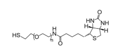 Biotin-PEG-SH，生物素-聚乙二醇-巰基，Biotin-PEG-Thiol