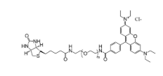 羅丹明-聚乙二醇-生物素，RB-PEG-Biotin，羅丹明b-peg生物素