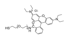 羅丹明聚乙二醇巰基，RB-PEG-SH，Rhodamine PEG Thiol