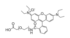  RB-PG-COOH，羅丹明聚乙二醇羧基，RhodamineB-PEG-acid