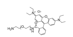 RB-PEG-NH2，羅丹明-聚乙二醇-氨基，Rhodamine-PEG-NH2