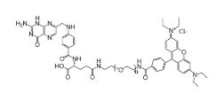 FA-PEG-RB，葉酸-聚乙二醇-羅丹明，F(xiàn)olic acid-PEG-RB 