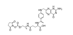 FA-PEG-NHS,葉酸-聚乙二醇-活性脂,Folic acid-PEG-NHS
