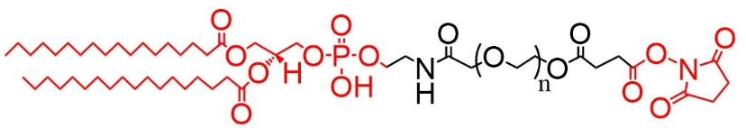 DSPE-PEG-NHS、 二硬脂?；字Ｒ掖及?聚乙二醇-活性脂，磷脂PEG活性酯