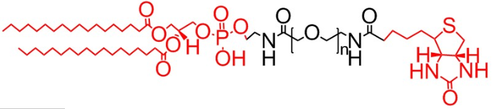 DSPE-PEG-Biotin、二硬脂?；字Ｒ掖及?聚乙二醇-生物素、磷脂PEG生物素