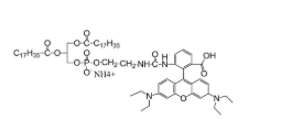 羅丹明標記二硬脂酰磷脂酰乙醇胺，DSPE-RB，DSPE-Rhodamine
