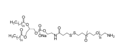 DSPE-SS-PEG-NH2,二硬脂酰基磷脂酰乙醇胺-雙硫鍵-聚乙二醇-氨基