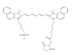 熒光標記活化脂ICG-NHS ester，活化脂吲哚菁綠，1622335-40-3