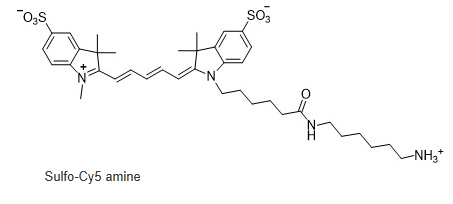 Sulfo-Cy5-氨基，磺化Cy5熒光標(biāo)記氨基，水溶CY5-NH2