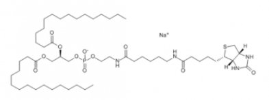 1,2-二棕櫚酰-sn-甘油-3-磷酸乙酰胺-N-生物素