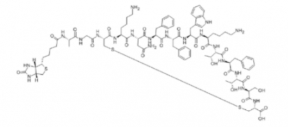 生物素-生長抑素-14