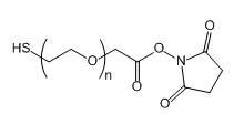 SH-PEG-SCM  巰基-聚乙二醇-琥珀酰亞胺羧甲基酯