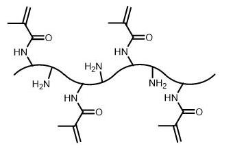 藍(lán)色熒光標(biāo)記甲基丙烯酰化明膠