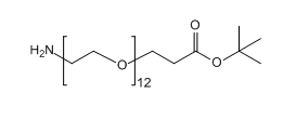 NH2-PEG12-CH2CH2COOtBu；1383814-00-3；氨基十二聚乙二醇丙酸叔丁酯