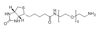 CAS No.：113072-75-6；Biotin-PEG5-NH2應用于醫學研究