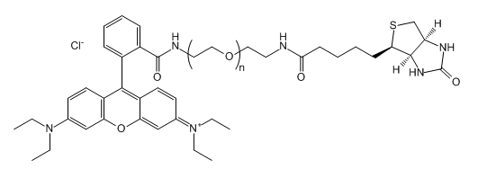 RB-PEG-Biotin；羅丹明B-聚乙二醇-生物素；Rhodamine B-PEG-Biotin