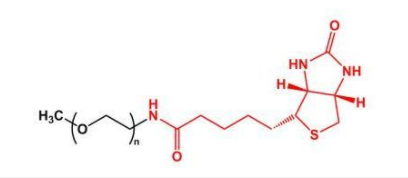 mPEG-Biotin；甲氧基聚乙二醇生物素；mPEG-BN
