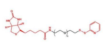 Biotin-PEG-OPSS；生物素聚乙二醇巰基吡啶；OPSS-PEG-Biotin