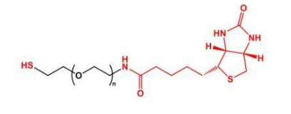 SH-PEG-Biotin；巰基聚乙二醇生物素；Biotin-PEG-SH