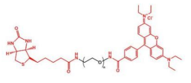 Biotin-PEG-Rhodamine；生物素聚乙二醇羅丹明；RB-PEG-Biotin