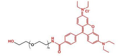 Rhodamine-PEG-OH；羅丹明聚乙二醇羥基；RB-PEG-OH