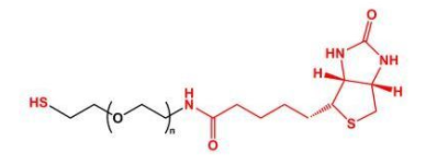 SH-PEG-Biotin；巰基聚乙二醇生物素；Biotin-PEG-SH