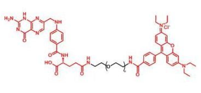 RB-PEG-FA；羅丹明聚乙二醇葉酸；Folate-PEG-RB