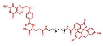 FITC-PEG-FA；熒光素聚乙二醇葉酸；Folate-PEG-FITC