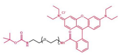 Boc-NH-PEG-RB；叔丁氧羰基聚乙二醇羅丹明；Boc-NH-PEG-Rhodamine B