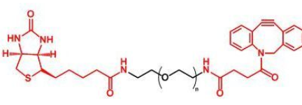 Biotin-PEG-DBCO；生物素聚乙二醇二苯基環(huán)辛炔 
