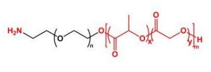 PLGA-PEG-NH2；聚乳酸-羥基乙酸共聚物聚乙二醇氨基；NH2-PEG-PLGA  