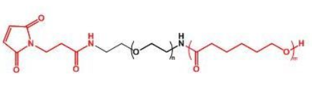 PCL-PEG-MAL；聚己內酯聚乙二醇馬來酰亞胺；MAL-PEG-PCL