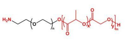 PLGA-PEG-NH2；聚乳酸-羥基乙酸共聚物聚乙二醇氨基；NH2-PEG-PLGA