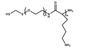 HS-PEG-PLL；巰基聚乙二醇聚賴氨酸；Polylysine-PEG-Thiol