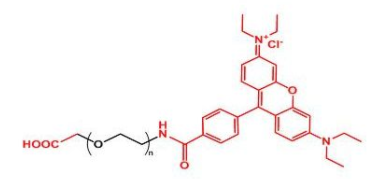 Rhodamine-PEG-COOH；羅丹明聚乙二醇羧基；RB-PEG-COOH