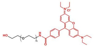 Rhodamine-PEG-OH；羅丹明聚乙二醇羥基；RB-PEG-OH