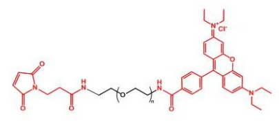 Rhodamine-PEG-MAL；羅丹明聚乙二醇馬來酰亞胺；MAL-PEG-Rhodamine