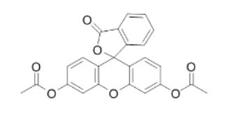 FDA [Fluorescein diacetate]，596-09-8，熒光素二乙酸酯