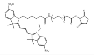 Cy3-PEG-NHS ester；Cy3-聚乙二醇-琥珀酰亞胺酯