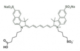 trisulfo-ICG carboxylic acid/水溶性ICG COOH；水溶性吲哚菁綠-羧基