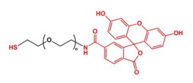 FITC-PEG-SH；熒光素聚乙二醇巰基 ；Thiol-PEG-FITC
