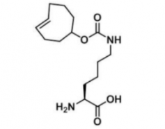 N-(4E)-TCO-L-lysine；1380349-88-1；N-(4E)環(huán)辛烯-賴氨酸