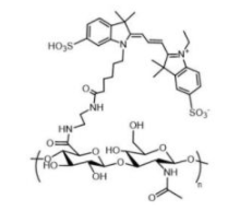 HA-Cy3； 透明質酸-花菁染料Cy3；Cy3標記透明質酸