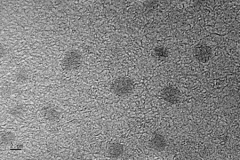 水溶性硫化銅納米粒子10nm；Water soluble copper sulfide