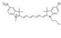 sulfo Cy7 alkyne；2183440-55-1；磺化Cy7炔烴